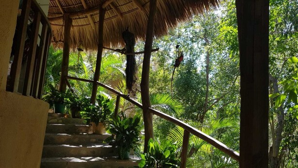 Una escalera conduce a una construcción con techo de paja rodeada de exuberante vegetación.
