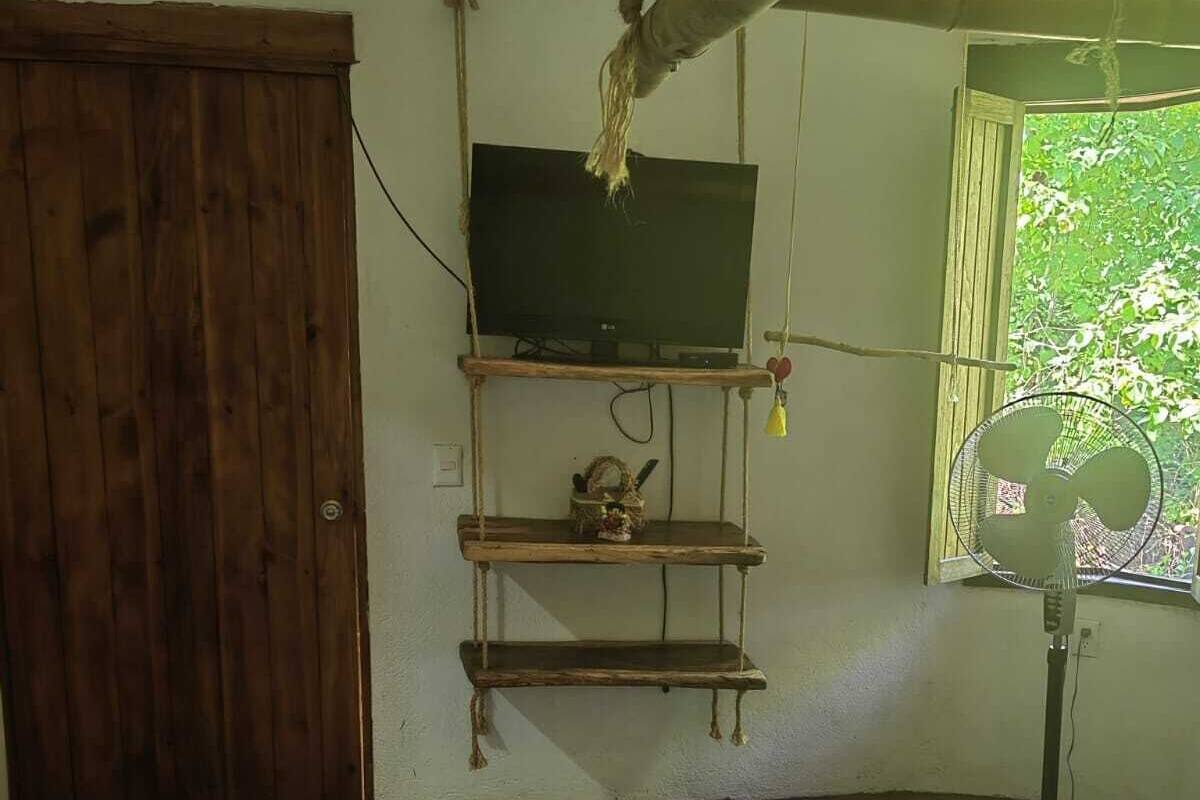 A room with a bed, a TV on a wooden shelf, a fan, and a window with a view of greenery.