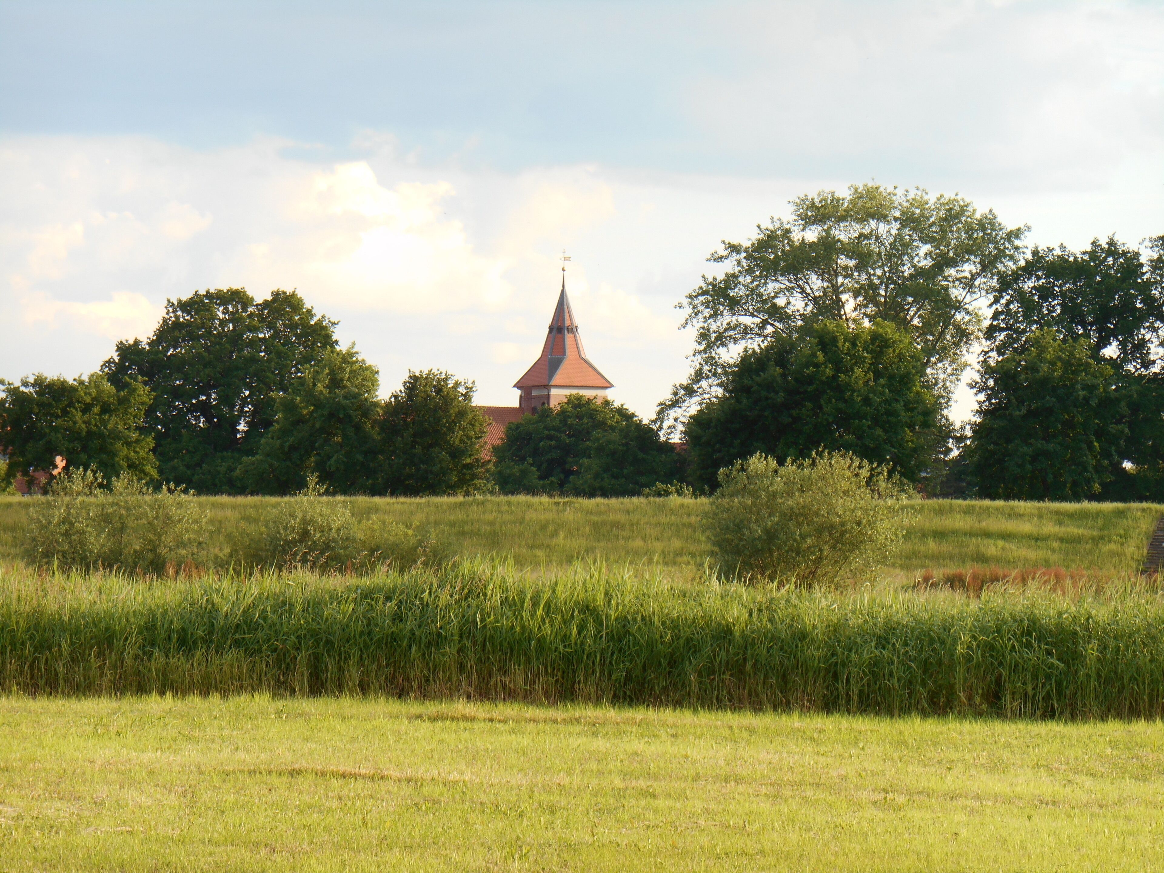 A church with a pointed roof, surrounded by trees and a grassy field.