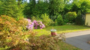 Un jardín con diversas plantas y una maceta en la acera.