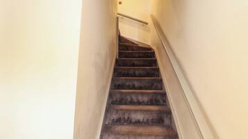 Uma escadaria com carpete e corrimão, que leva a um patamar.