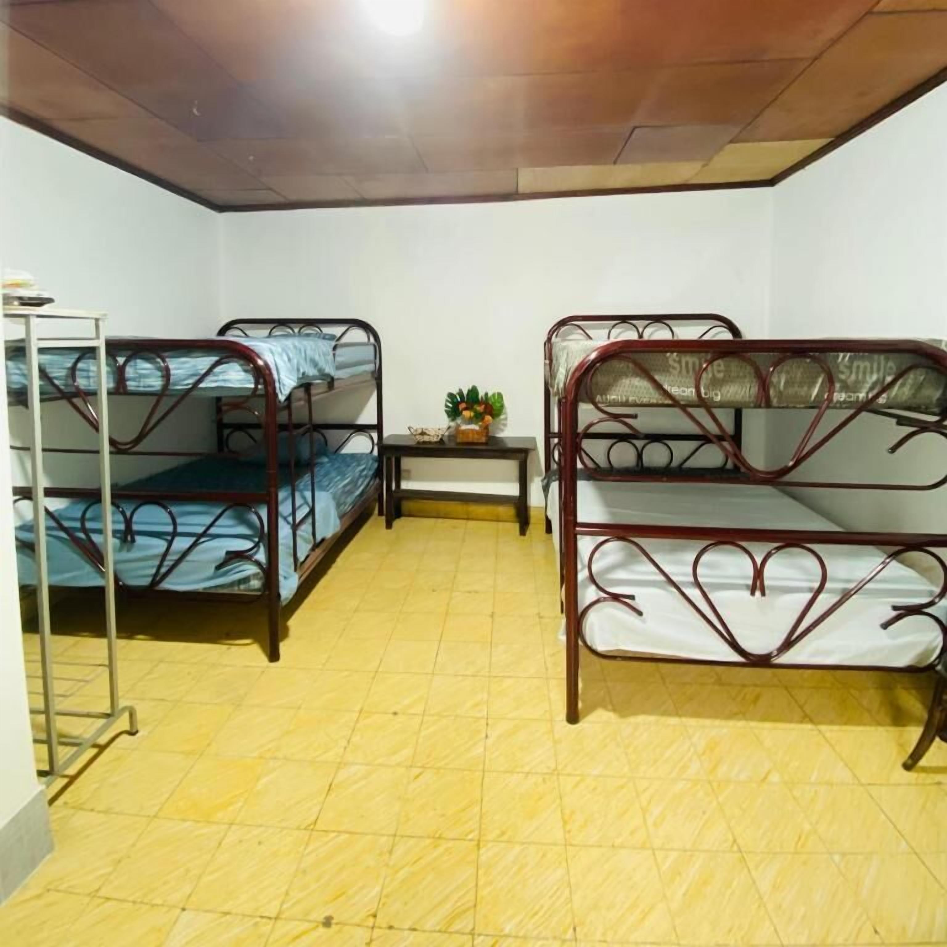 A room with two bunk beds, a small table with a plant, and a metal shelf unit.