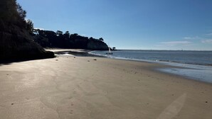 Une plage avec un ciel dégagé, un rivage sablonneux et une falaise couverte de végétation.