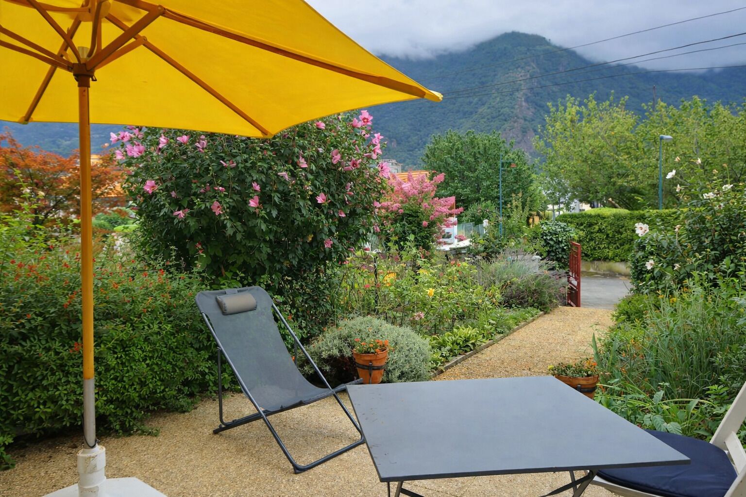 Terraza o patio