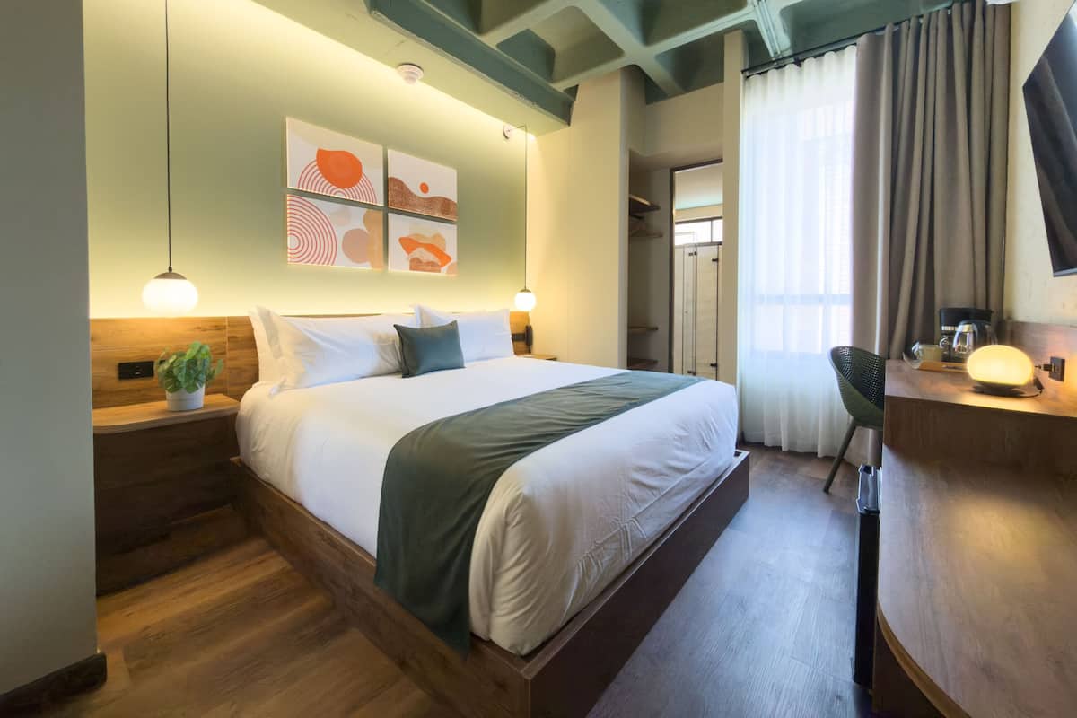 Habitación de hotel con cama, mesita de noche, lámpara, planta en maceta, una obra de arte en la pared y un escritorio con silla.