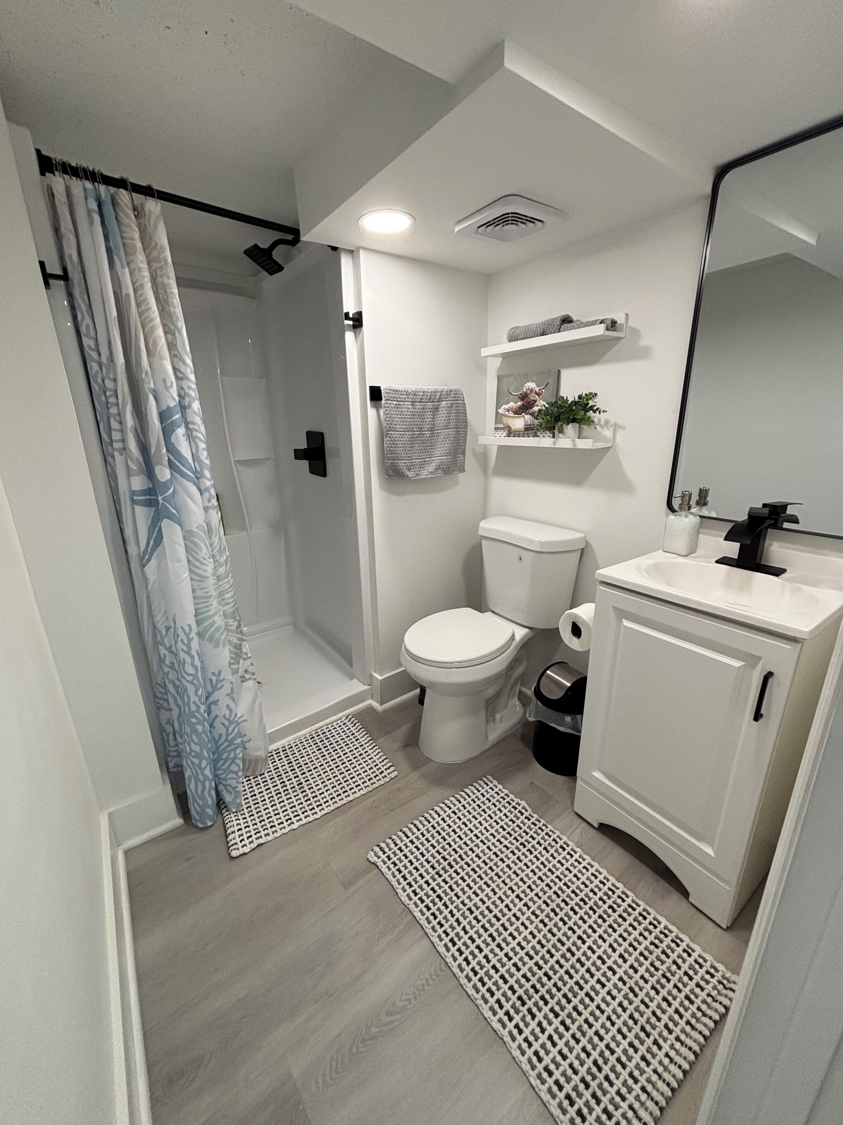 Shower, towels, soap, toilet paper