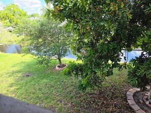 Un jardin aménagé avec un bassin, des arbres et un sentier en briques.