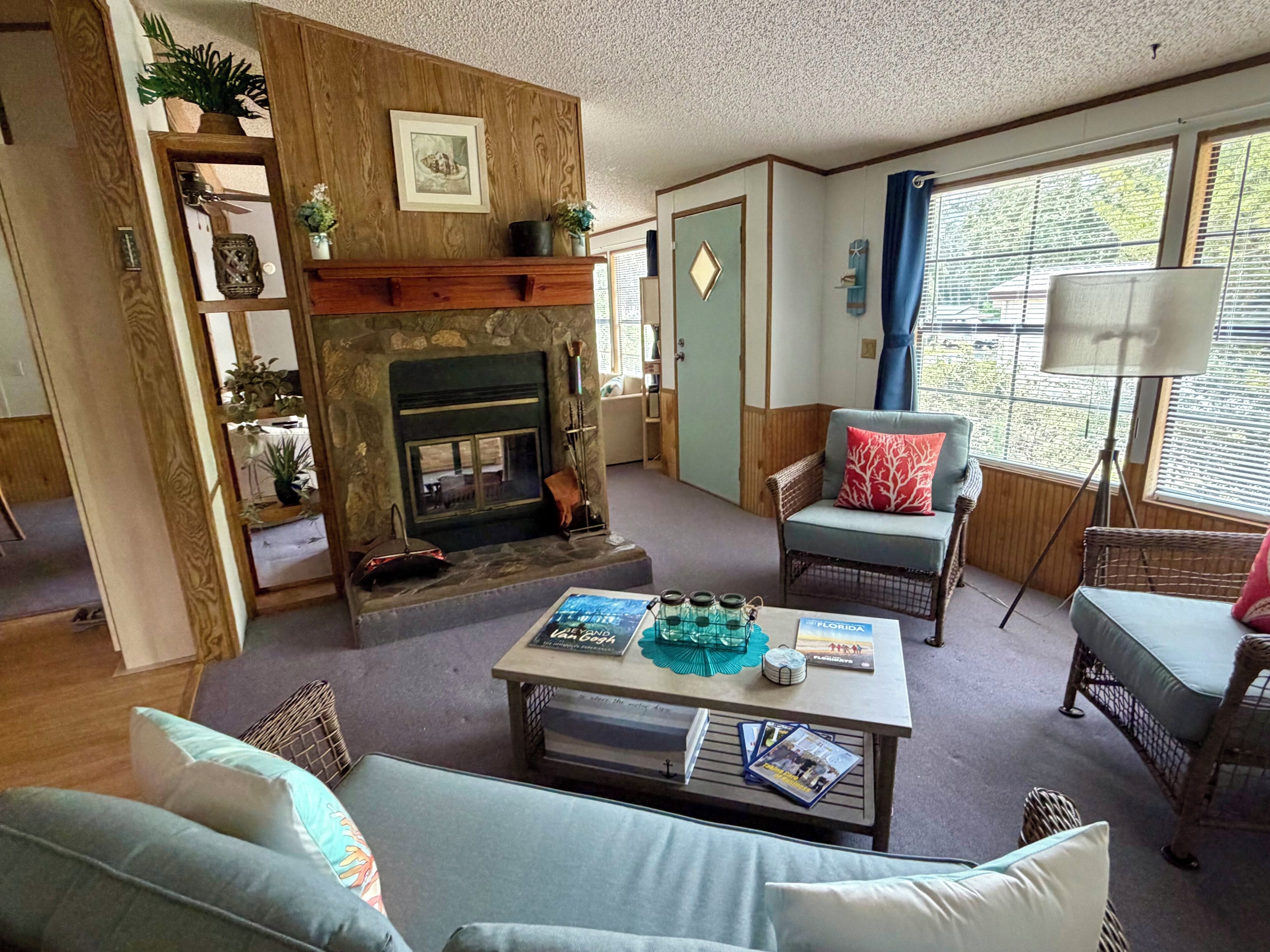 Smart TV, fireplace, books