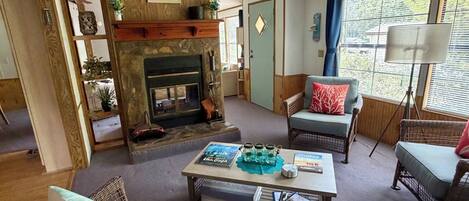 Smart TV, fireplace, books