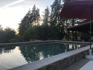 A swimming pool with a stone border, surrounded by trees and a covered area with a red umbrella.