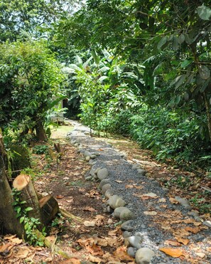 Property grounds - Kibbutz Eco Guesthouse Near Arenal Volcano La Fortuna (La Fortuna)