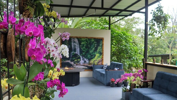 Un espacio al aire libre cubierto con una sala y sillones, rodeado de orquídeas en macetas y un cuadro con una cascada.