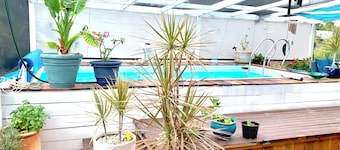 Serene- pool house with large enclosed oasis of local artist in Port Charlotte
