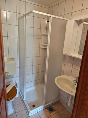 House, Garden View | Bathroom - Mežnarija Cerovec (Novo mesto)