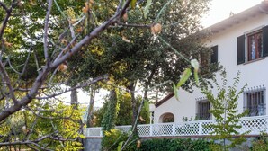 Property grounds - Leonardo da Fornia by Interhome (Carmignano)