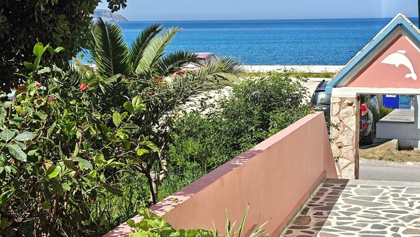 Un balcón con plantas en macetas, vista al mar y un edificio con logotipo de delfín.