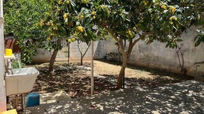 Property grounds - Apartment 'Villa Venere - Semiterra' with Private Terrace and Private Garden (Melendugno)