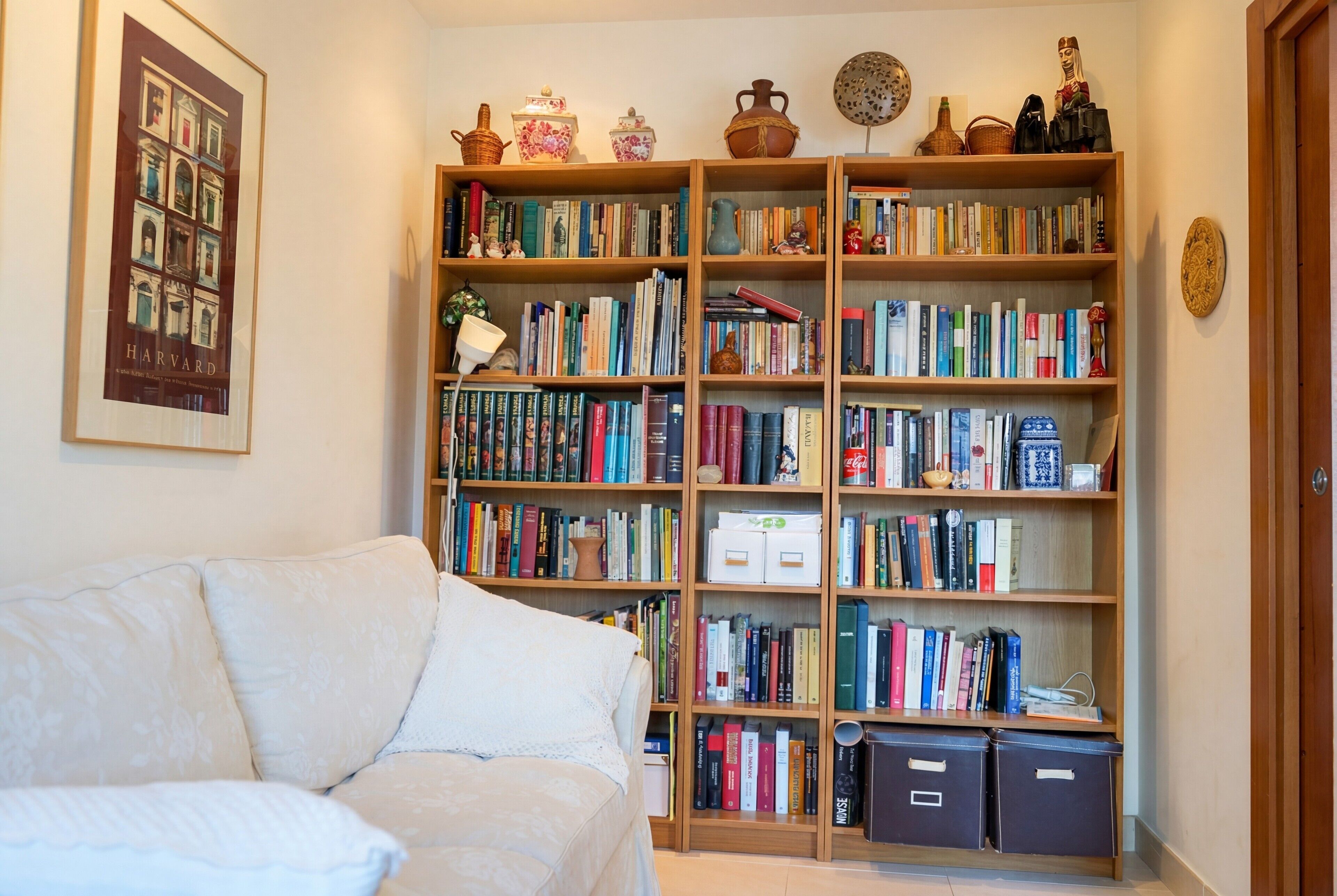 Un salon avec un canapé blanc, une bibliothèque remplie de livres, des objets de décoration et un tableau encadré au mur.