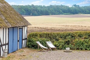 A traditional thatched-roof cottage with a blue door, two wooden loungers, and a gravel path leading to a hedge.