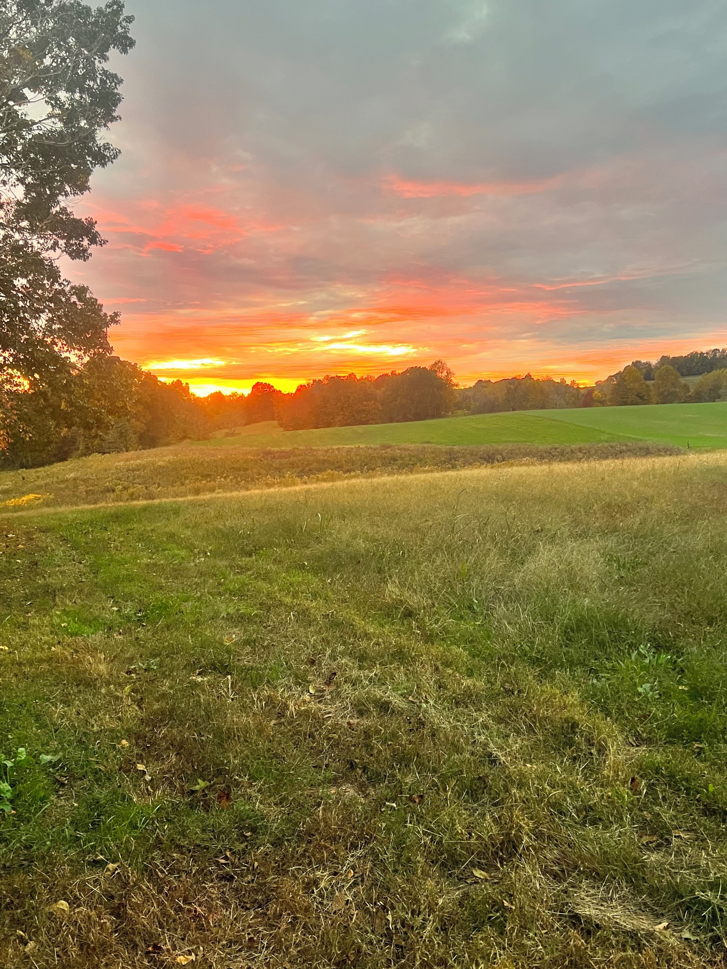Pelto, jonka taustalla näkyy auringonlasku.