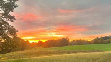 A field with a sunset in the background.