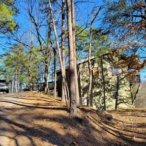 A rustic cabin with a dirt path leading to it, surrounded by tall trees. - Huckleberry Cabin-Private (Sevierville)
