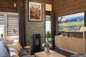 Smart TV, fireplace, books