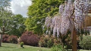 Un jardin où l’on trouve une grande variété d’arbres et d’arbustes, un ciel dégagé et une pelouse bien entretenue.