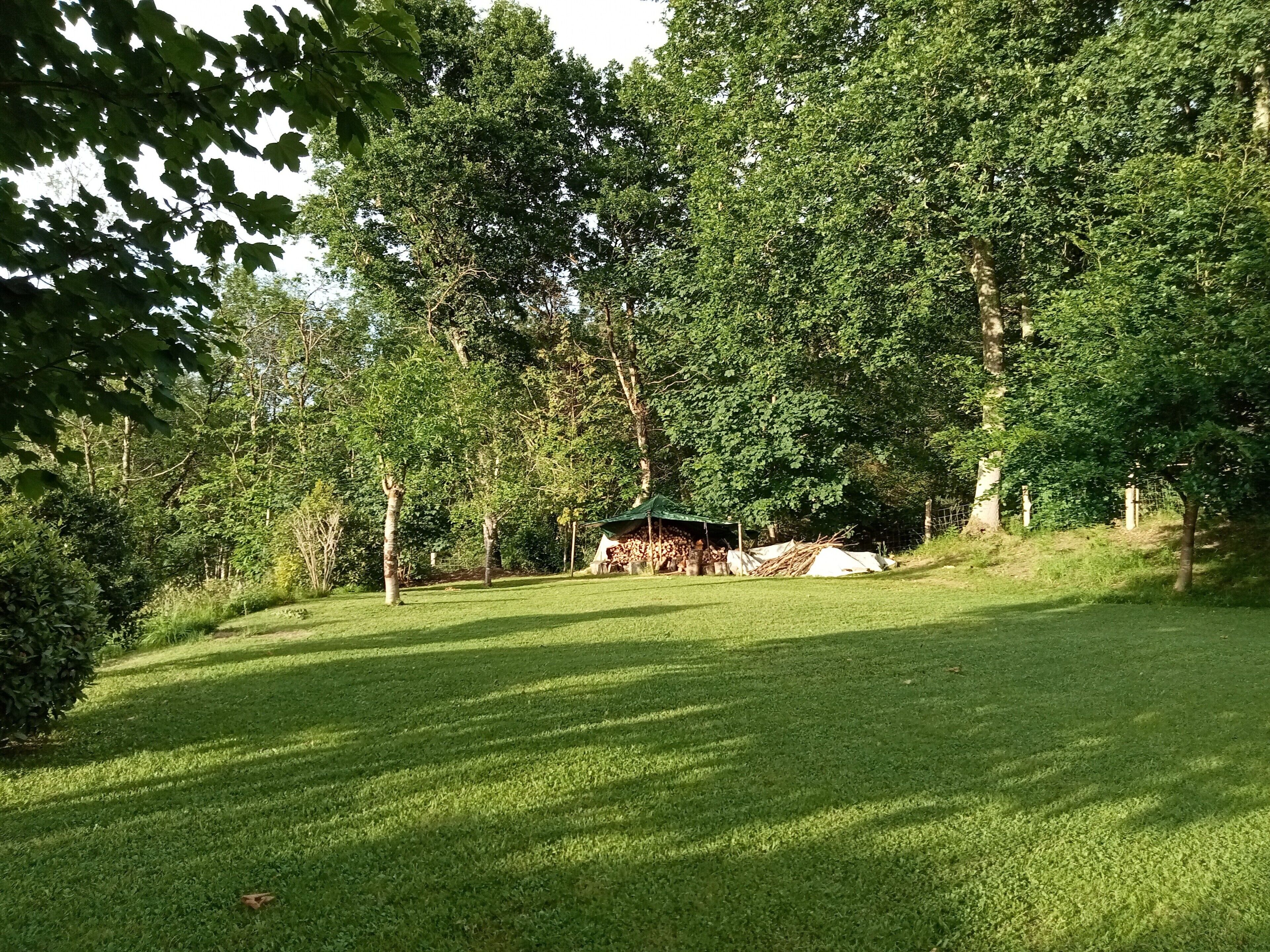 A grassy outdoor area with trees and a covered structure.