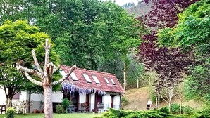 Une maison avec un toit rouge, entourée d’une végétation luxuriante et d’arbres.