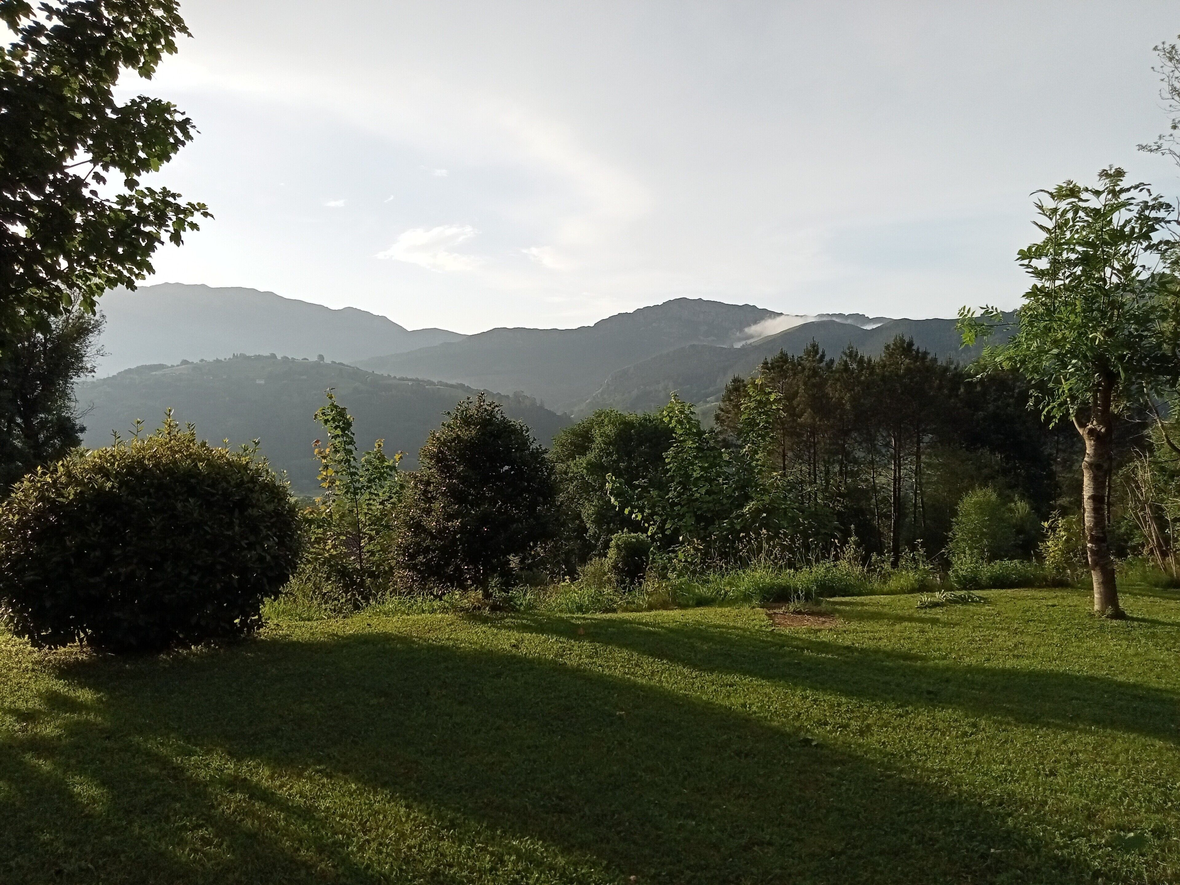 A grassy field with trees and hills in the background.