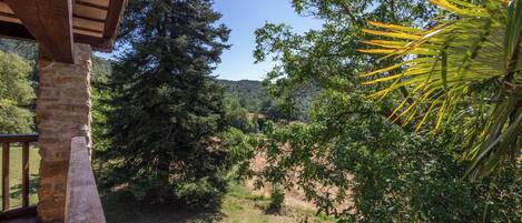 Un balcon en bois donnant sur un paysage naturel, avec des arbres et un ciel dégagé.