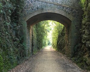 A stone bridge over a narrow path surrounded by greenery.