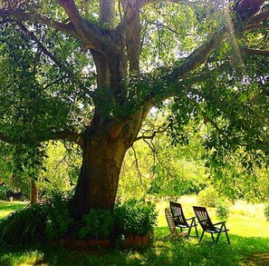 Property grounds - Garrotxa Nature House by Fidalsa (Les Planes d'Hostoles)