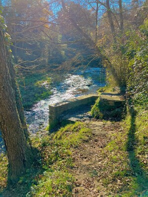 Property grounds - Garrotxa Nature House by Fidalsa (Les Planes d'Hostoles)