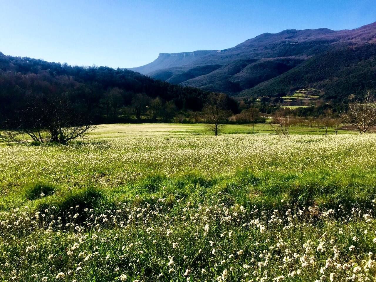 Ein Feld mit vereinzelten Bäumen und einer Bergkette im Hintergrund.