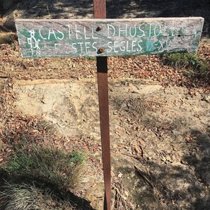 Un vieux panneau indicateur en bois, gravé de quelques inscriptions, se dressant sur un fond de feuilles mortes et devant un chemin en béton.