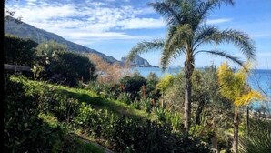 A coastal landscape with a palm tree, dense vegetation, and a mountainous backdrop. - Sea Pool and Relax Cefalù (Cefalù)