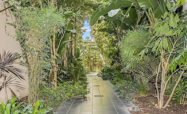A pathway flanked by dense tropical vegetation, leading to an exit sign.