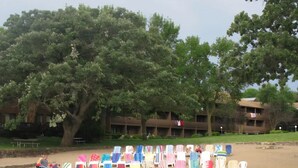 A beach with lounge chairs lined up, a large tree, and a building in the background.