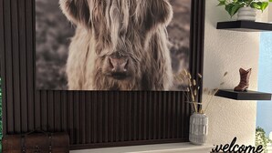 Une cheminée sur laquelle est fixée une télévision diffusant l’image d’une tête de taureau, un panneau indiquant « Bienvenue » et des étagères ornées d’objets décoratifs.