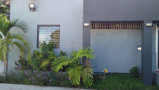 Un bâtiment moderne doté d’une grande fenêtre, d’une porte avec un portail de sécurité et de diverses plantes en pot.