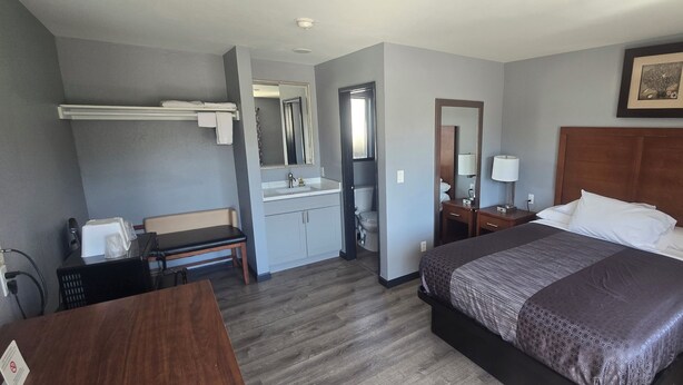 A hotel room with a bed, a desk, a chair, a vanity with a mirror, a toilet, and a shower.