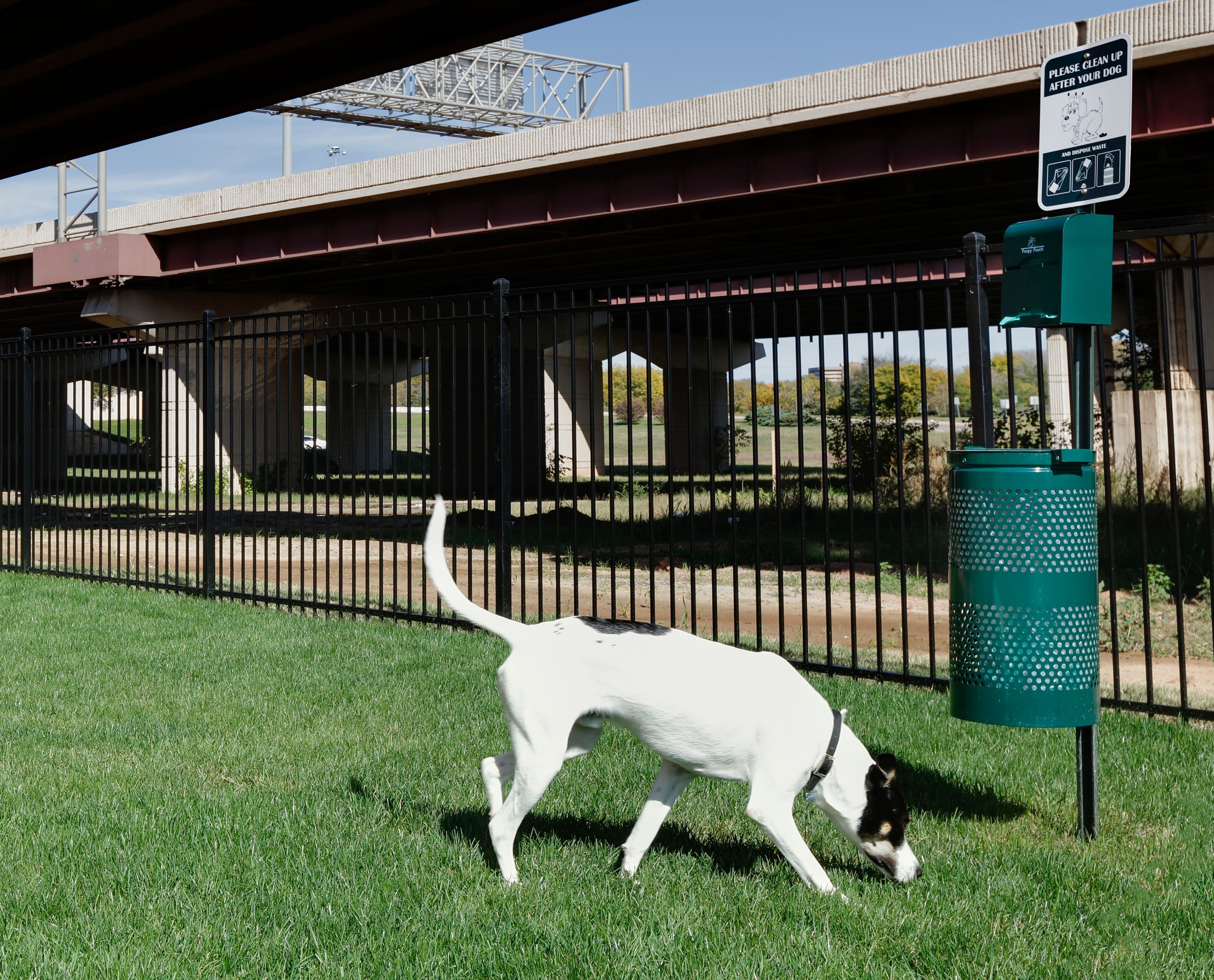 Terrein van de accommodatie