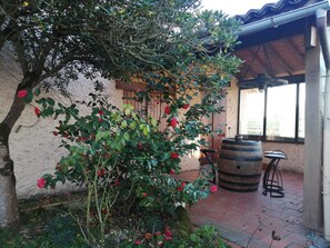Terrace/patio - Country house with swimming pool  (Savenès)