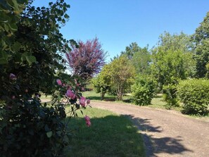 Property grounds - Country house with swimming pool  (Savenès)