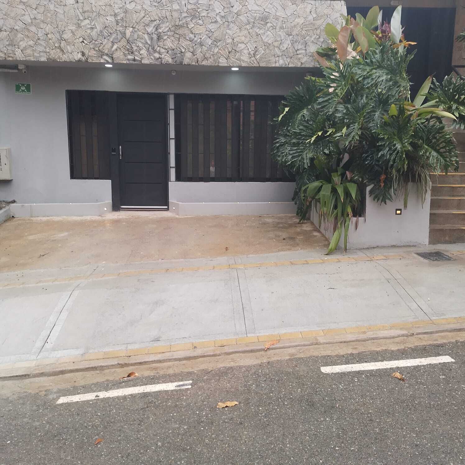 A building entrance with a black door, a concrete pathway, and a large potted plant.