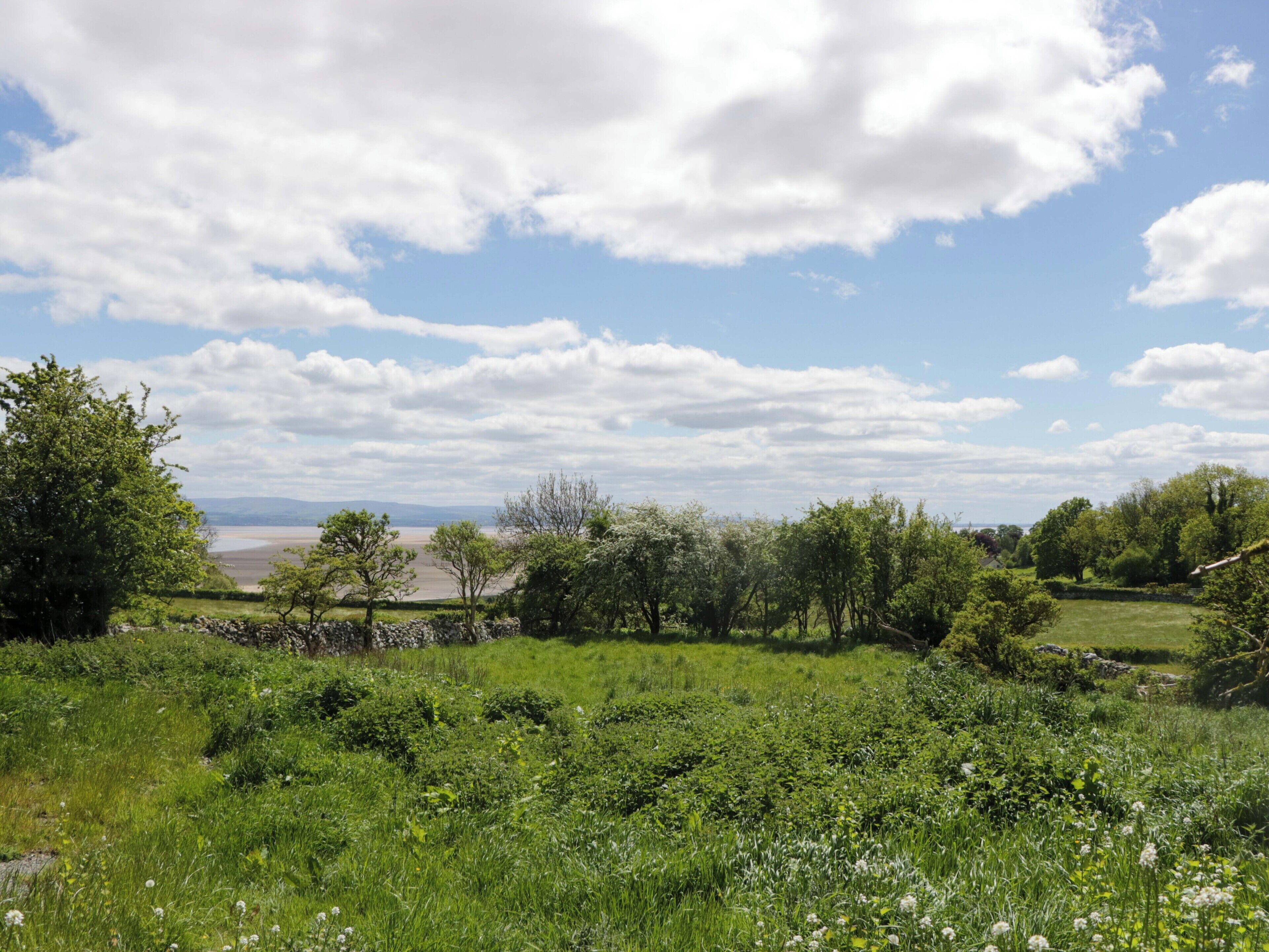 A natural landscape with a stone wall, grassy fields, and trees.