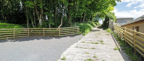 Un camino pavimentado atraviesa un área boscosa, con una cerca de madera a un lado y un muro de piedra al otro.