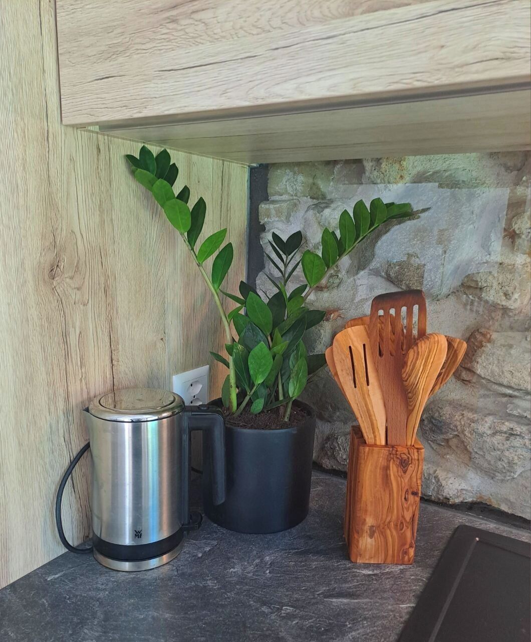 A kitchen counter with a stainless steel kettle, a potted plant, and wooden kitchen utensils.